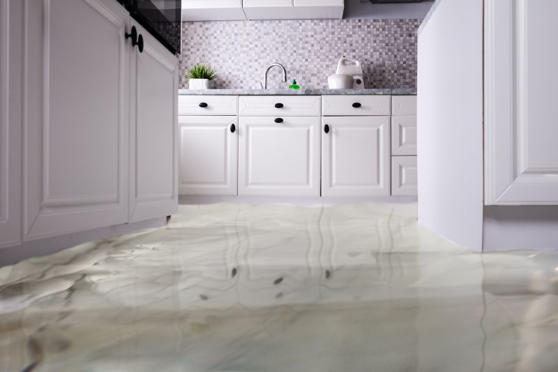 Water Damage Mitigation