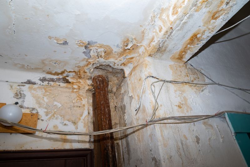 Water Damage Repair