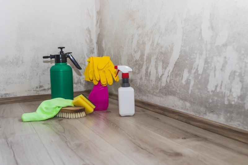 Sanitization and Mold Prevention