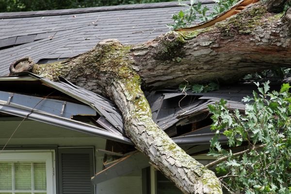 Storm Remediation in Dallas