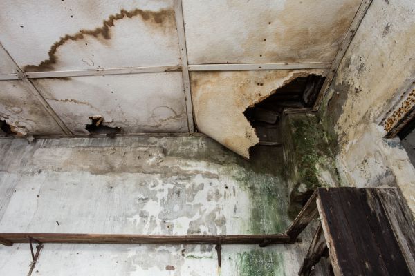 Water Damage Service in Dallas