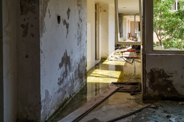 Water Removal Service in Dallas