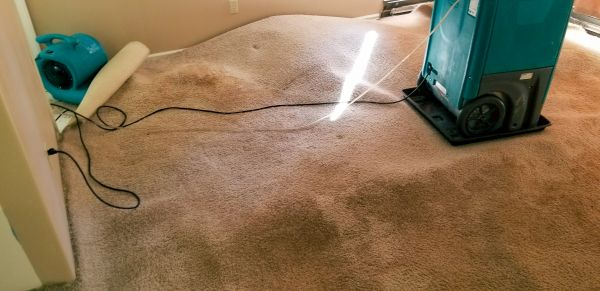 Carpet Water Extraction in Dallas